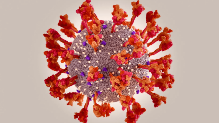 The First Case Of Omicron Variant Detected In The State Of California (1)