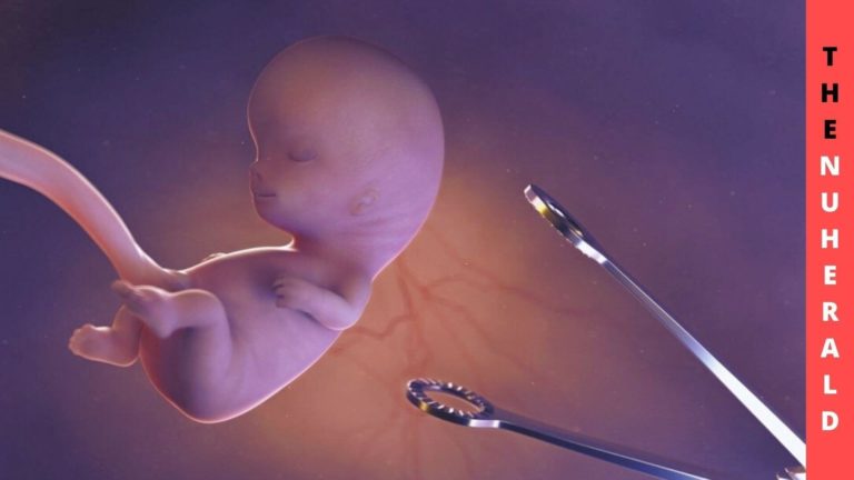 The United States FDA Relaxes Medical Abortion Restrictions