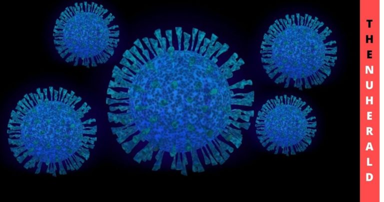 Why-Some-COVID-Cases-Are-Deadly-Among-People-While-Some-Not