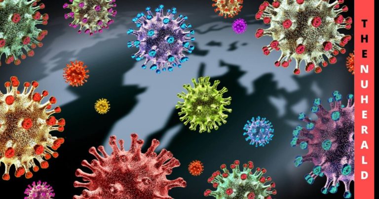 Women-Got-Weakened-by-COVID-Compare-to-Men