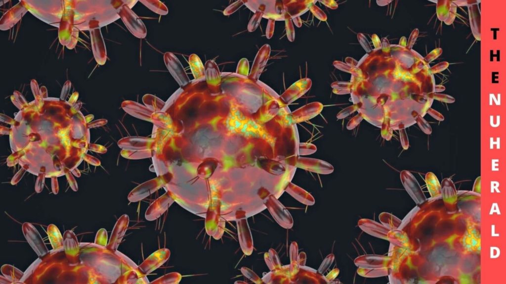 According To Experts, Omicron Is The End Of Coronavirus
