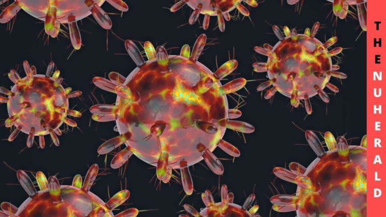 According To Experts, Omicron Is The End Of Coronavirus