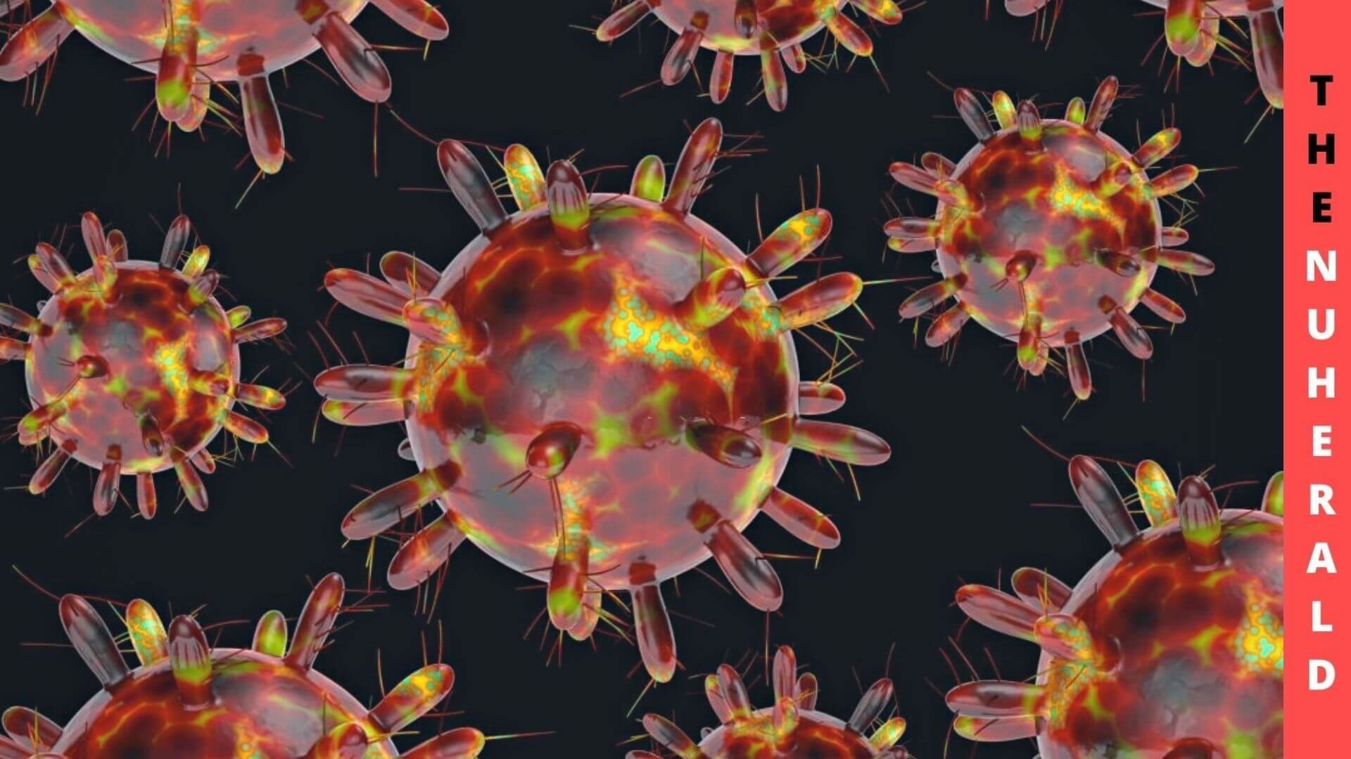 According To Experts, Omicron Is The End Of Coronavirus
