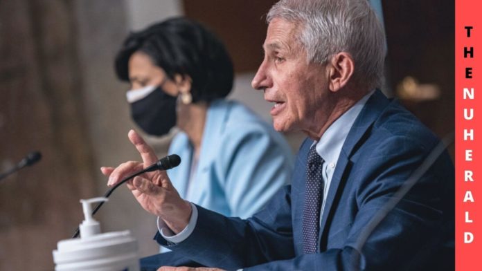 Fauci Says Covid Slowly Becoming Manageable In US