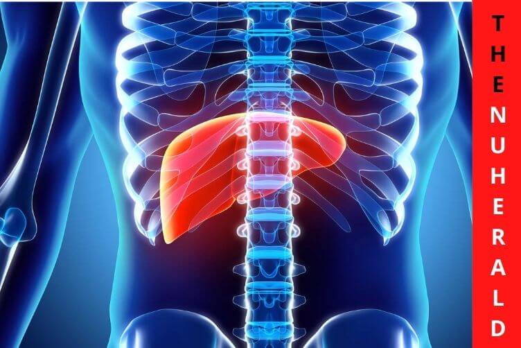 Findings-May-Improve-Liver-Cancer-Diagnosis-And-Liver-Cancer-Treatment-1