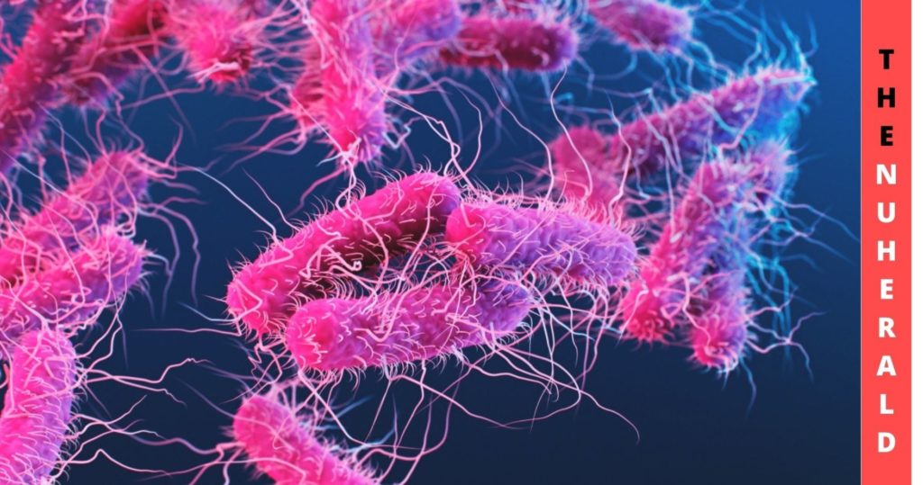 Gay & Bisexual Men Should Be Aware Of This New Variant Of Shigella