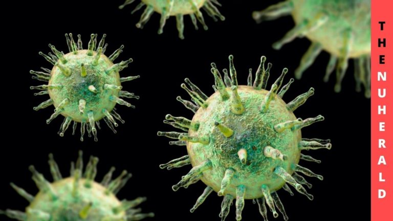 Infection With Epstein-Barr Virus - The Cause Of Multiple Sclerosis