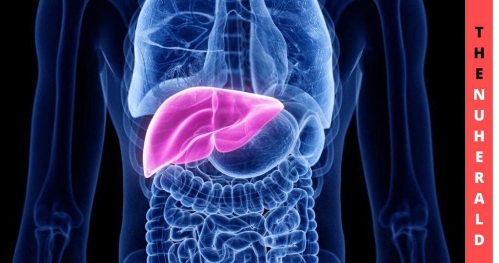 Liver Transplant Rejection Can Be Predicted With Few Proteins