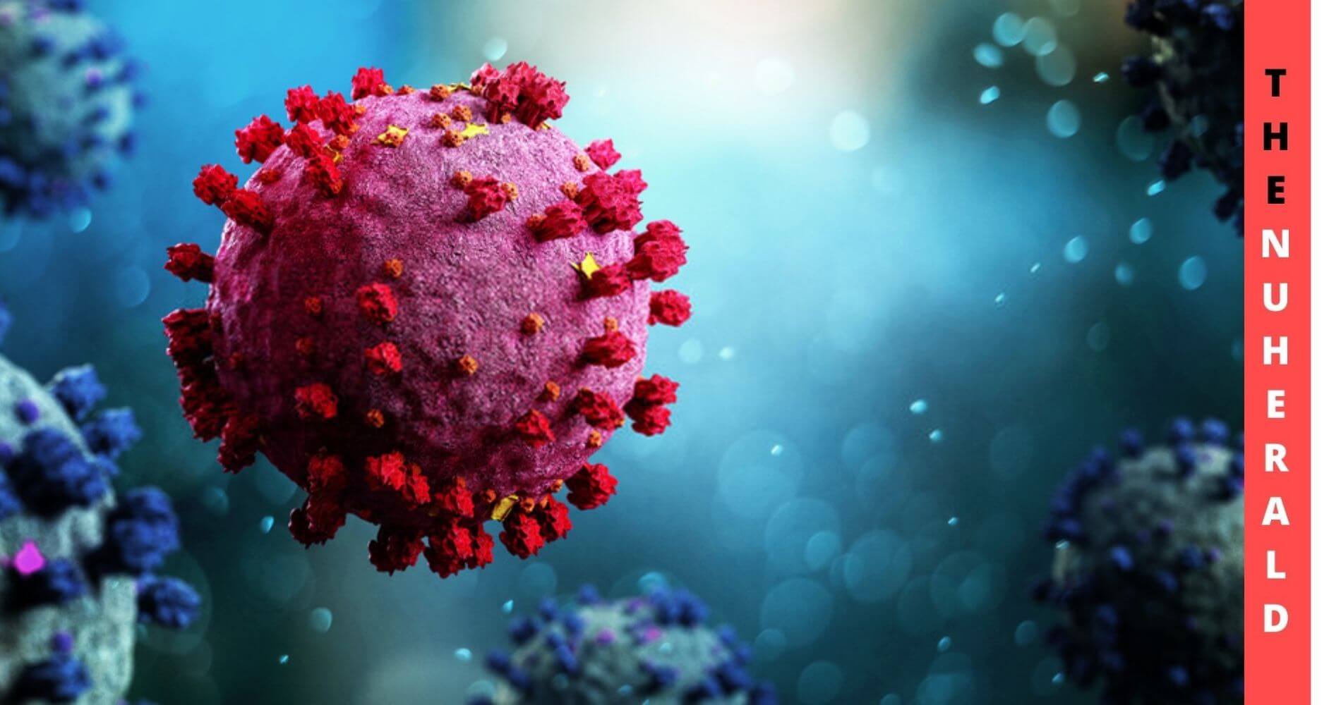 Now-COVID-Infection-Can-Cause-Autoantibodies-To-Kill-Our-Bodys-Cells