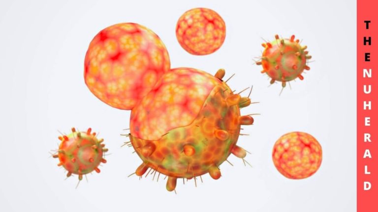 Omicron Less Sensitive To Neutralizing Antibodies