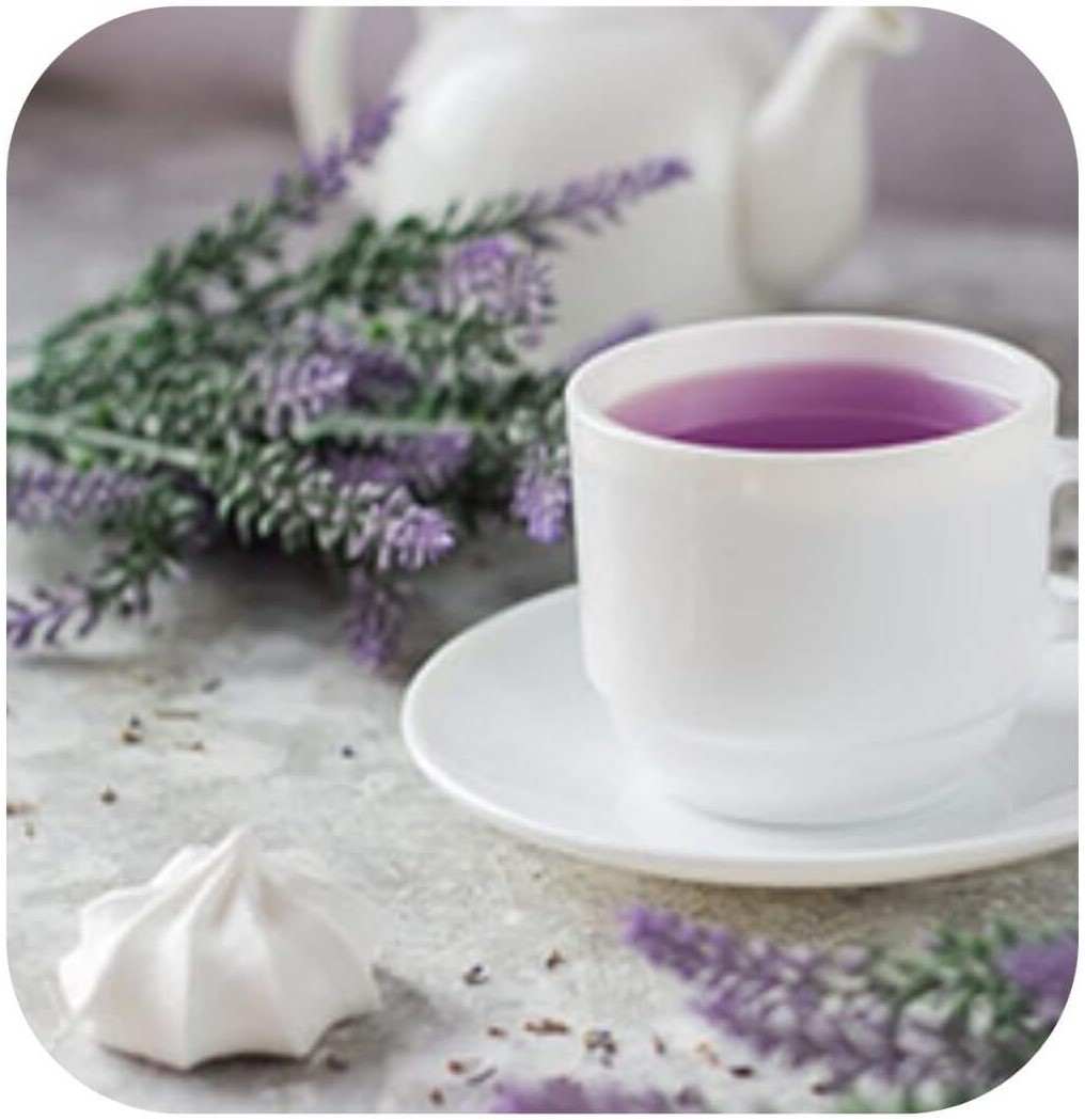 PT Trim Fat Burn Ingredient Purple Tea Extract