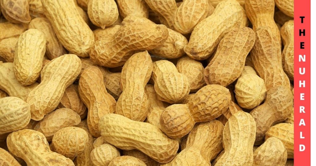 Peanut Allergic Reaction: An Overview