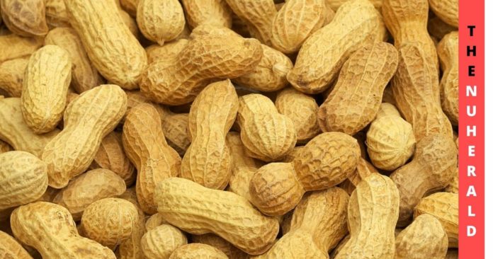 Peanut-Allergic-Reaction-An-Overview