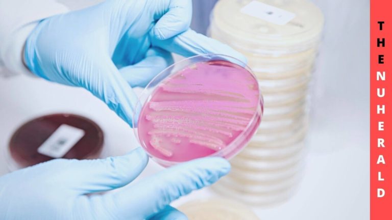 Study Finds, The Disastrous Outbreak Of Antibiotic Resistance In 2019