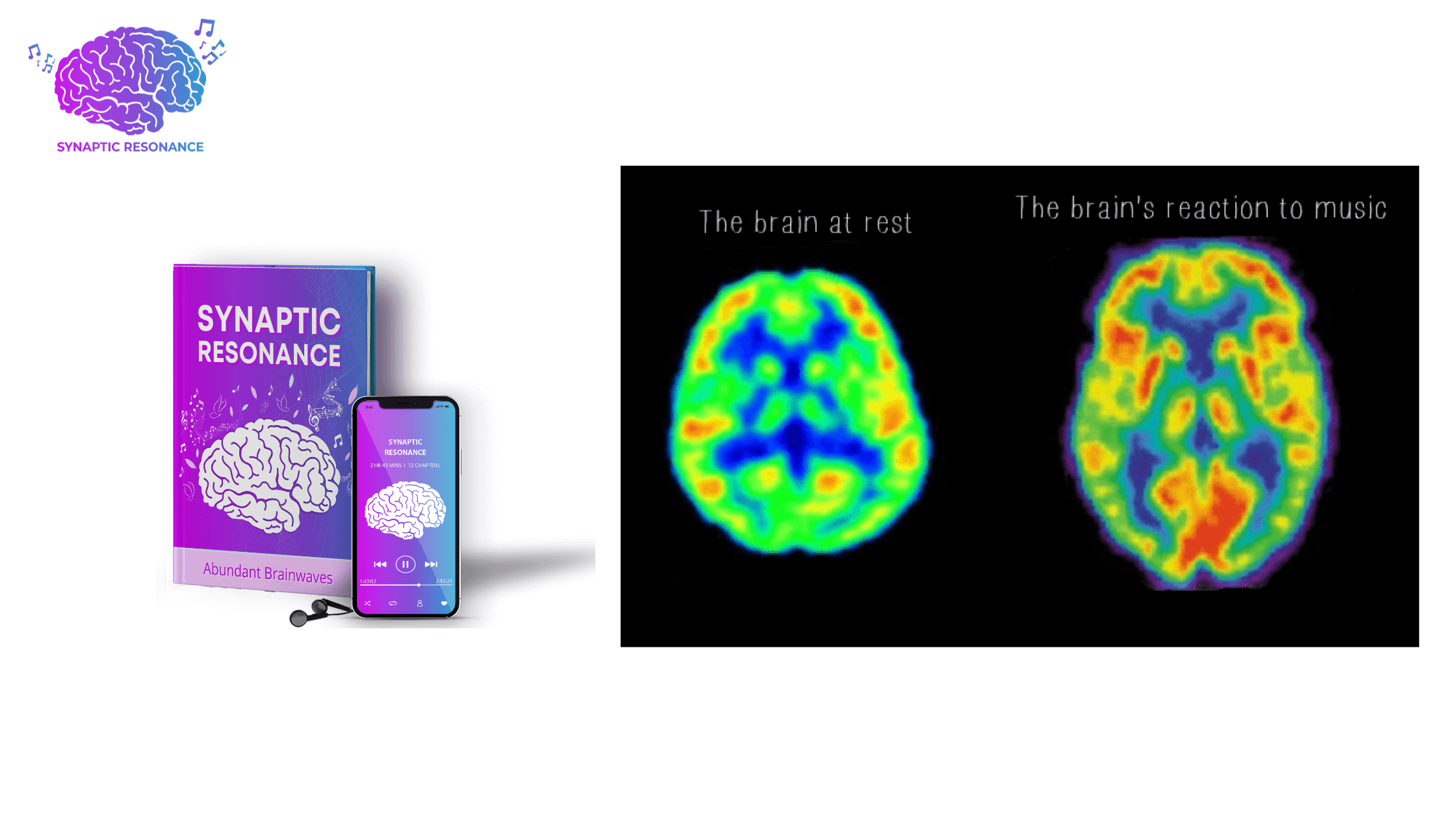 Synaptic Resonance Working