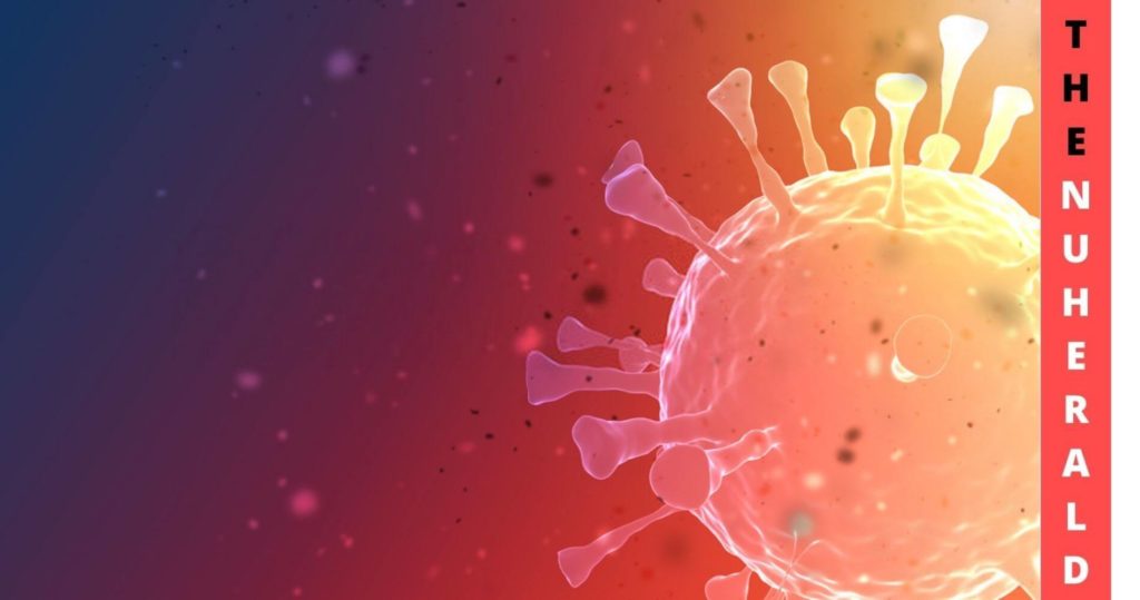 Vaccination Can Save Lives: Omicron Is Going To Find "Everybody"