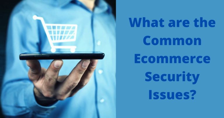 Ecommerce Security Issues