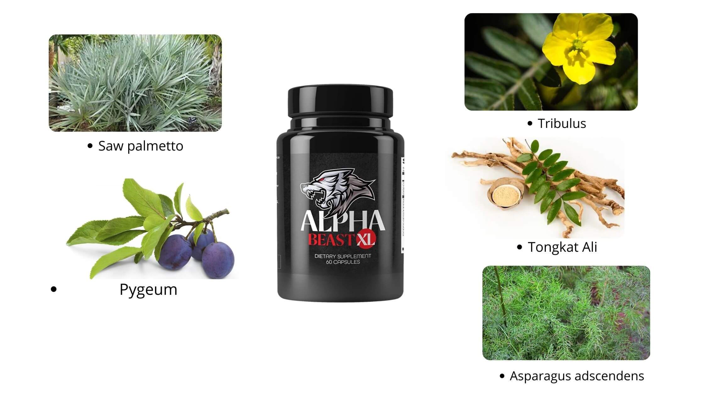 Alpha-Beast-XL-Ingredients