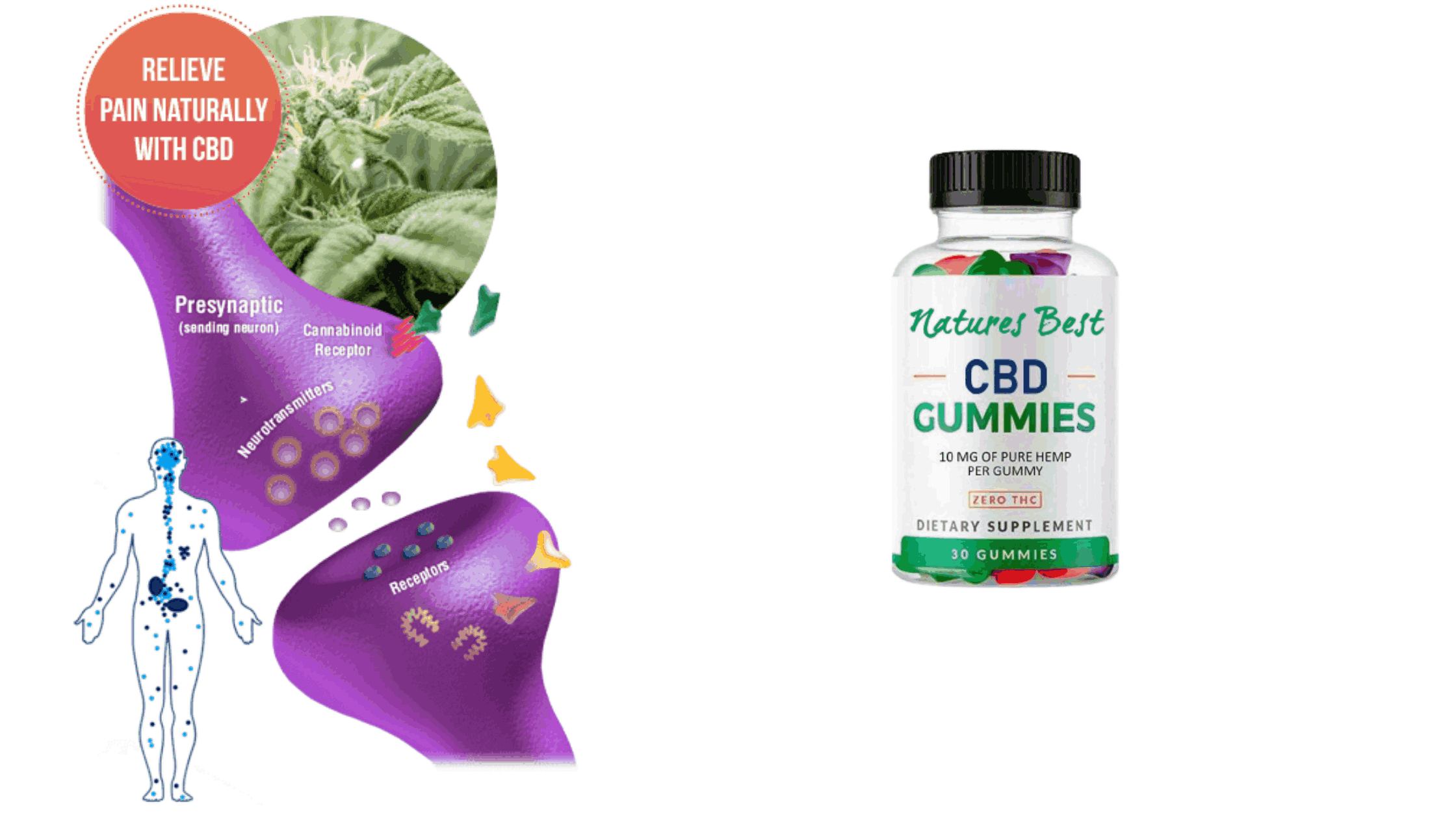 natures best cbd gummies supplement