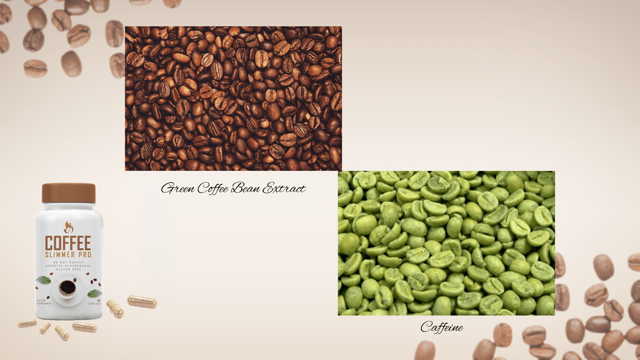 coffee Slimmer Pro Ingredient