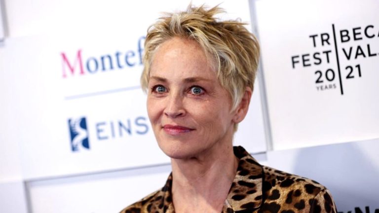 'Lost 9 Children' Through Miscarriages Sharon Stone Explained!!