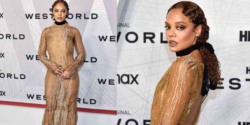 Tessa Thompson Stuns In Sheer Dress At Red Carpet Of Westworld Premiere!