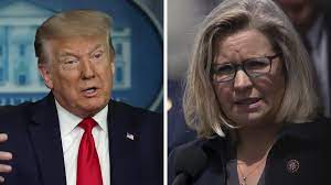 Liz Cheney hate Trump