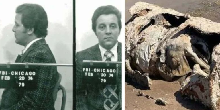 The staff at the Mob Museum in Las Vegas thinks the latest remains are those of Johnny Pappas