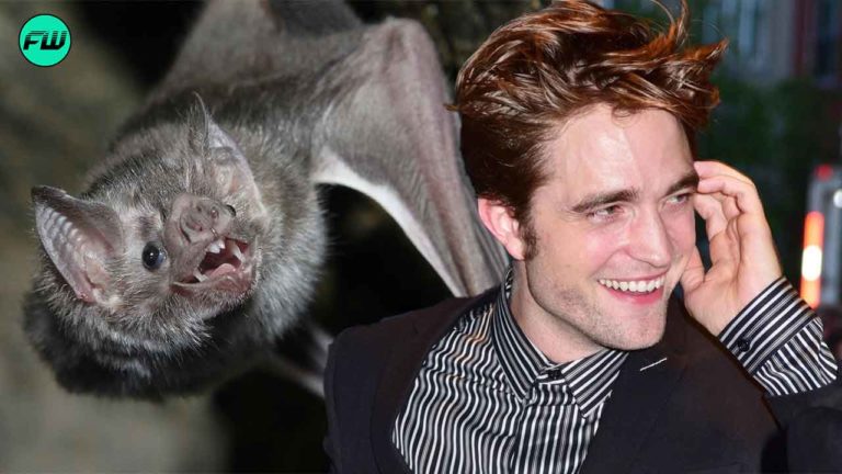 'The bat twitches...and bites the chicken on its anus': Robert Pattinson reveals his Batman was inspired by bizarre planet Earth documentary about vampire bats