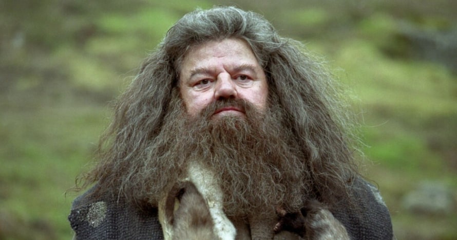 Robbie Coltrane Rubeus Hagrid Harry Potter