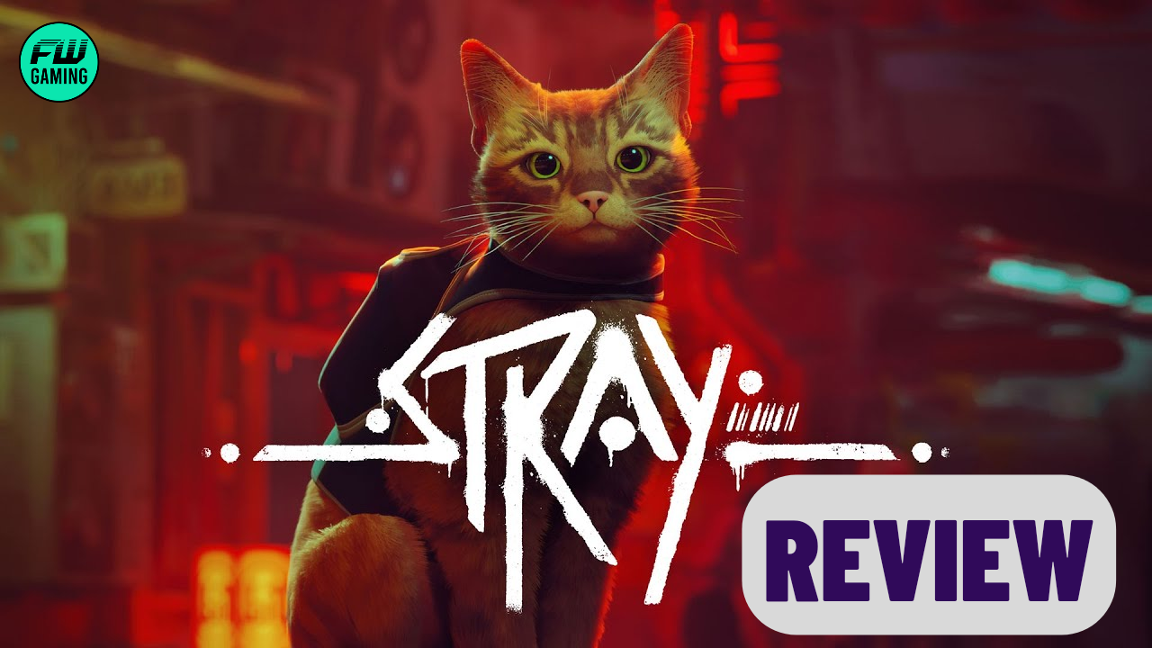 Stray Review